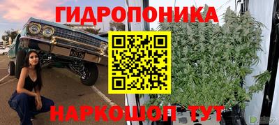 марихуана Камышлов